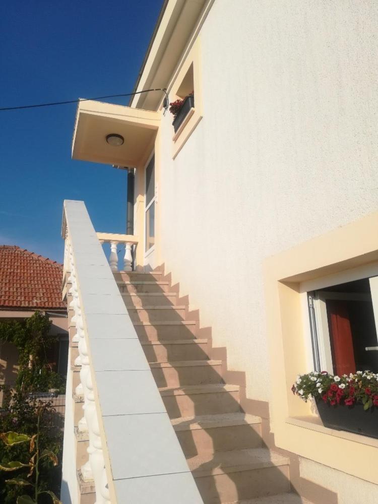 Apartment And Rooms Sidro Petrčane Dış mekan fotoğraf